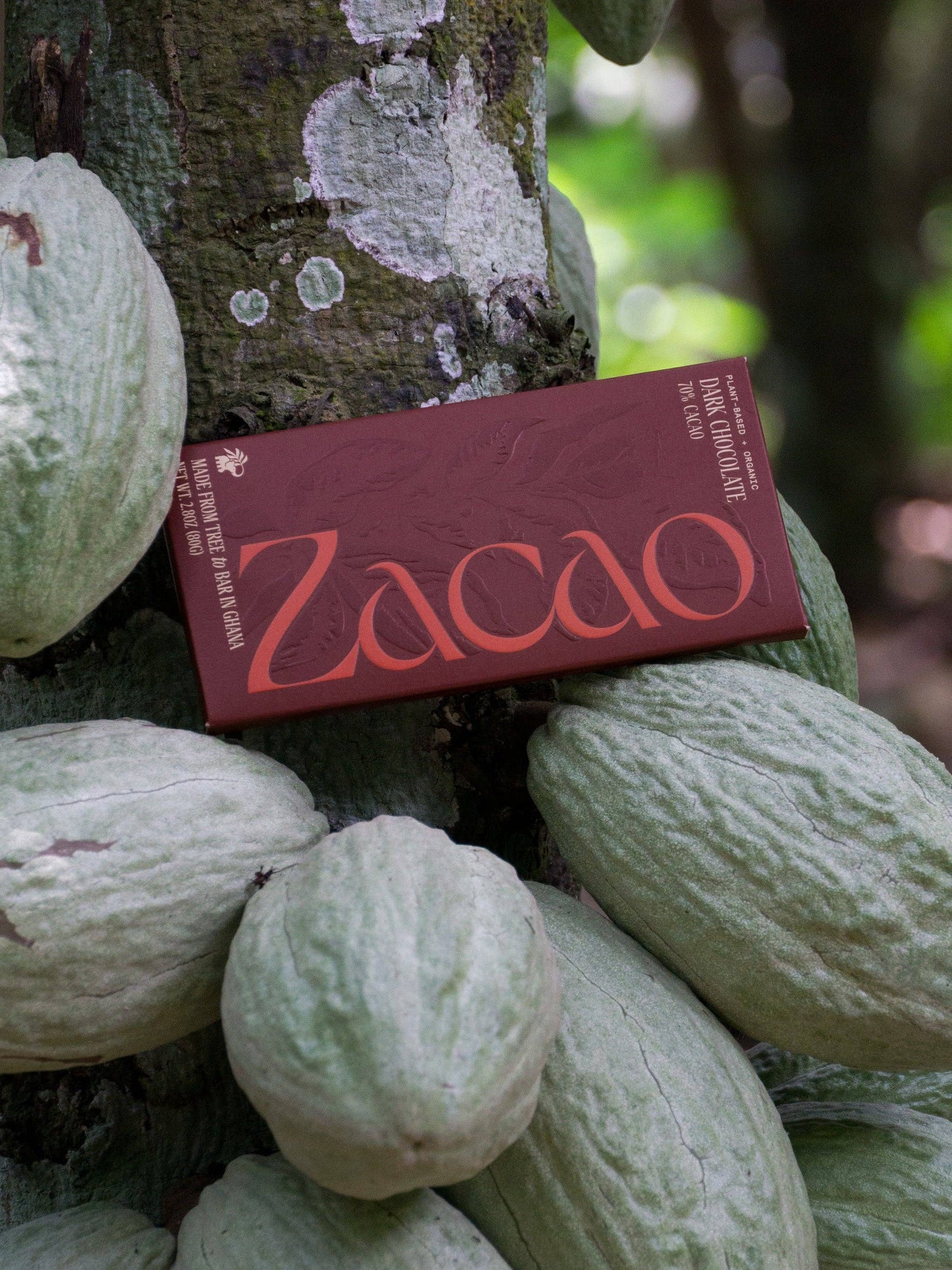 70% Cacao Dark Chocolate